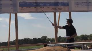 BEEF 2018 livestock demo: Alan Nolan