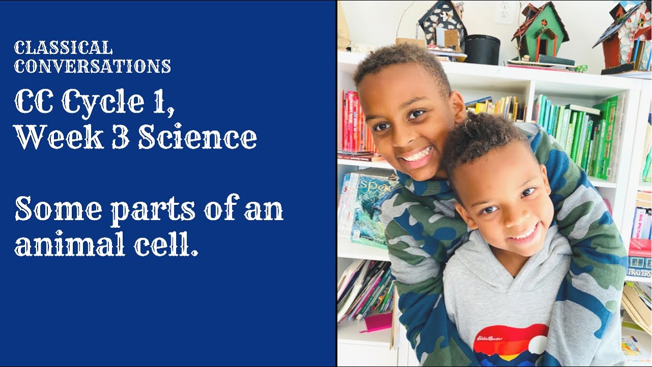 Cc Cycle 1 Week 3 Science Youtube