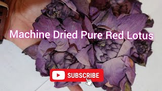 Dehydrate Red Lotus ( විජලිත රතු නෙළුම් ) | 2023 | @DilProducts