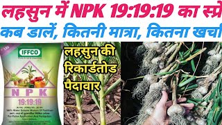 लहसुन में NPK 19:19:19 का स्प्रे कब करें // लहसुन में 19:19:19 स्प्रे का सही समय // lahsun ki kheti