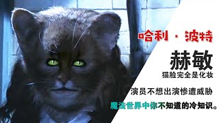 《哈利波特》冷知识：赫敏的猫脸是化妆，演员不想出演遭亲人威胁