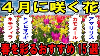 ４月に咲く花春を彩るおすすめ15選【お庭解説】