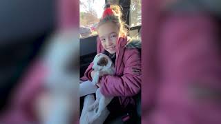 Puppy Surprise Leaves Girl Overjoyed