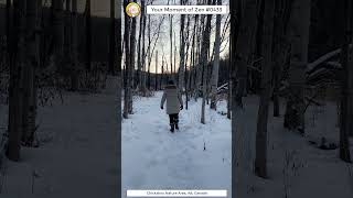 ScienceMan Moment of Zen 0433 #peaceful #winter #nature #hiking #forest #trees #asmr