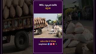 స్వల్పంగా పెరిగిన పత్తి ధర | Warangal | Telangana | Way2news Telugu