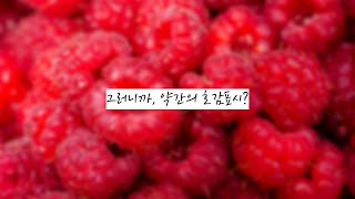 🐈‍⬛ 어 저도 앤냥인데 / 같은 걸 듣는 우리 두 사람 • 여자 ASMR RP 상황극 롤플 [3DIO binaural]