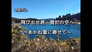 曽於市案内人  飛び出せ君　曽於の空へ ～あかね雲に寄せて～