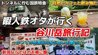 【事実上最後の運行】暇人鉄オタが185系で行く谷川岳旅行記〜かつての特急谷川・水上に思いを馳せて〜