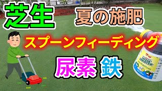 【芝生】夏の施肥はスプーンフィーディング