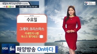 [바다낚시지수] 2019년 12월 25일 미세먼지 나쁨 마스크 필수 / 해양예보 On바다