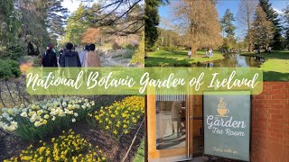 VLOG: IRELAND'S NATIONAL BOTANICAL GARDEN 🌲🍃🌷🪴