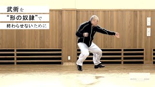 遠藤靖彦先生【真の功夫を求めて】陳家太極拳の新バイブル　HOW TO MASTER KUNG FU IN CHEN STYLE TAI CHI