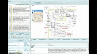 data visulalization using multi-pathway view