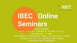 IBEC Seminar - Elena Martínez