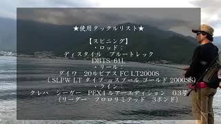 【秋の河口湖おかっぱり】　ヒットシーン1本　【ブラックバス】