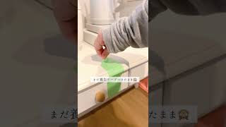 引越し直後の現実　#ひとり暮らし #一人暮らし #引越し #インテリア