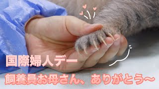 【国際婦人デー】飼養員さん、ありがとう〜 |iPanda パンダ楽園