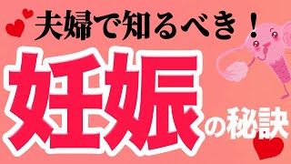 【妊活】妊娠しやすい夫婦の秘訣、教えます♡【コラボ】