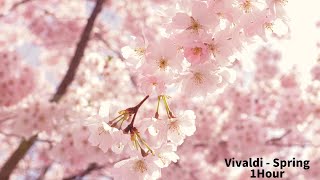 Vivaldi - Four Seasons: Spring (1Hour) Classic