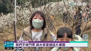 嘉義花季盛開覆蓋白雪！　雲海爆發遊客搶拍｜華視新聞 20230128