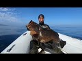 pescasub cernie e cernioni 8 catture