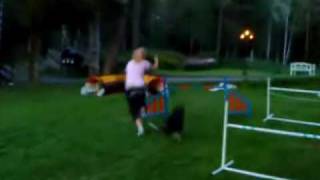 mira agility klasse 2 bane