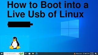 How to boot into Live USB thumb drive of Linux MINT