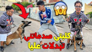 من بعد خمس أشهر ديالفراق شوفو كي تبدلات ما كانتش هاكا 🐶❤️