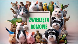 Zwierzęta domowe - film edukacyjny dla dzieci.