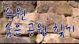 수원 장안구 숨은 공원-노송지대