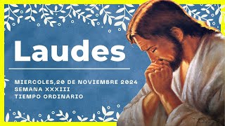 🌞 LAUDES DEL DIA DE HOY | 20 de Noviembre De 2024 | Oración de la Mañana 🙏 LITURGIA DE LAS HORAS