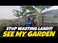 Stop Wasting Land - Plant What You Eat - Realtor Collins #lagosnigeria #propertyagentinlagos