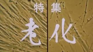 テレビ医学研究講座　特集 老化　第二十三話 内分泌代謝の老化と病気 監修：折茂肇