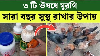 মুরগি ১২ মাস  সুস্থ রাখার ঔষধ | দেশি মুরগি পালন পদ্ধতি | desi murgi palan