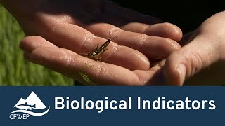 Biological Indicators | CFWEP