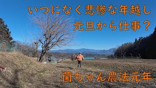 酒も食も興味ない自分にとって、これもまた良かった、年と月が改まっただけの年越し