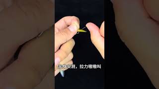 八字环最快绑法，新手必学#钓鱼 #钓鱼技巧