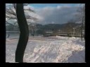Heidelberg - Black Forest - Titisee Lake, Germany Heidelberg - Black Forest - Titisee Lake, Germany