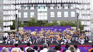 仙臺雀踊 壹番組 @ 仙台 青葉まつり (市民広場演舞場) 2019-05-18T14:28