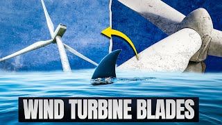 The Biomimicry Behind Wind Turbine Blades: Inspired By Whale Fins | Mimic Tech