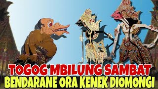 TOGOG MBILUNG SAMBAT OMONGAN E ORA TAU DI ANGGEP BENDARANE KI SENO NUGROHO