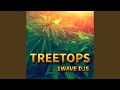Treetops