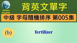 歡迎點選片尾聯結看完整中級字母隨機排序 第005集影片。  #global_english #learn #英文學習