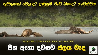 මහ ඇතා ජලය මැද හිටියෙ ඇයි