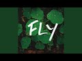 Fly