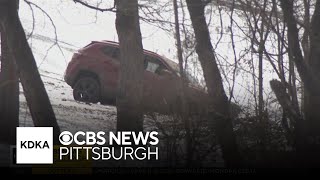 Man and his dog help save elderly man trapped in his car