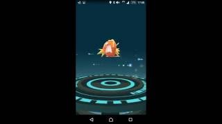 【ポケモンGO】大物コイキングCP２０８進化!!