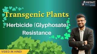 Herbicide (Glyphosate) Resistance in Transgenic Plants #geneticengineering  #plantbiotechnology