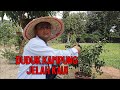 DUDUK KAMPUNG JELAH KAU !