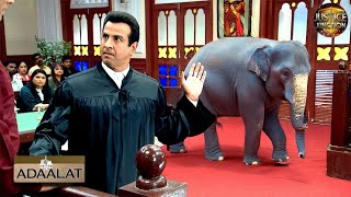 एक हाथी की मदद से KD Pathak को मिली Case Solve करने में मदद | अदालत | Adaalat | Full Episode 126 HD